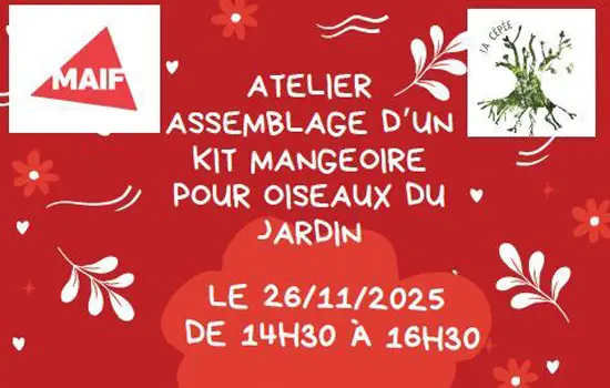 Fabrique une Mangeoire pour les Oiseaux du Jardin