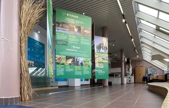 Mercredi Nature : Escape Game