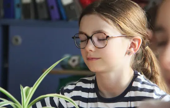 Atelier sonore, Les animaux du monde