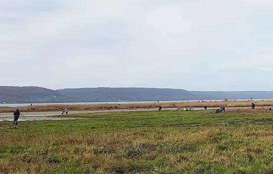 Nettoyage du reposoir