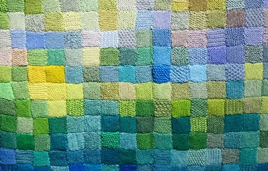 Les secrets des Nymphéas