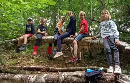 Stage de la Sittelle