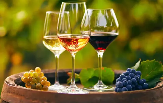 Dans les Coulisses du Vin - Secrets de vinification