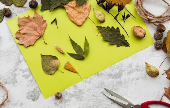 Collage des feuilles d’automne