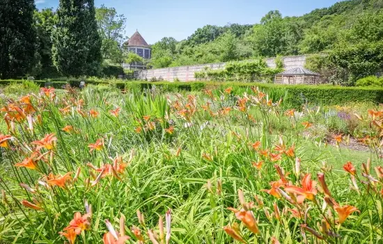 Les quatre saisons du parc de Rouelles