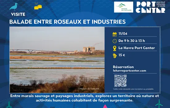 Entre roseaux et industries