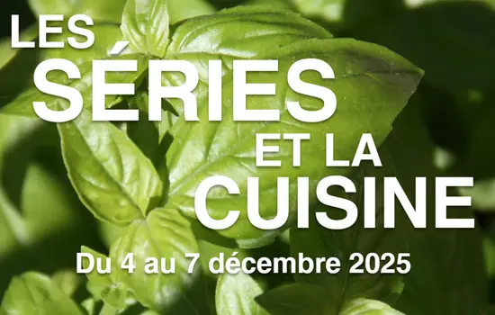 Rencontres Havre Séries 2025