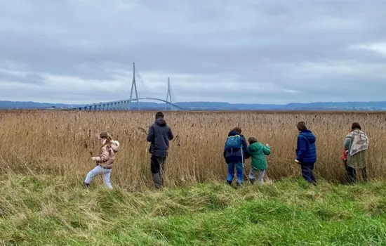 Ça bouge dans l'estuaire