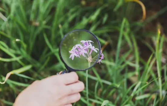 a botanique pour les nuls