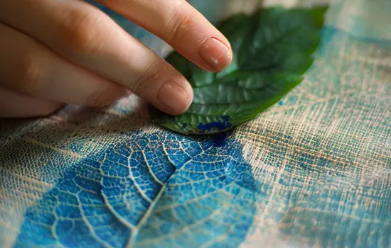 Cyanotype pour enfants