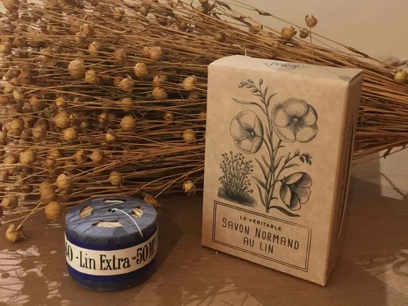 SainteMarieDesChamps_Visite4©SavonDICI-2026