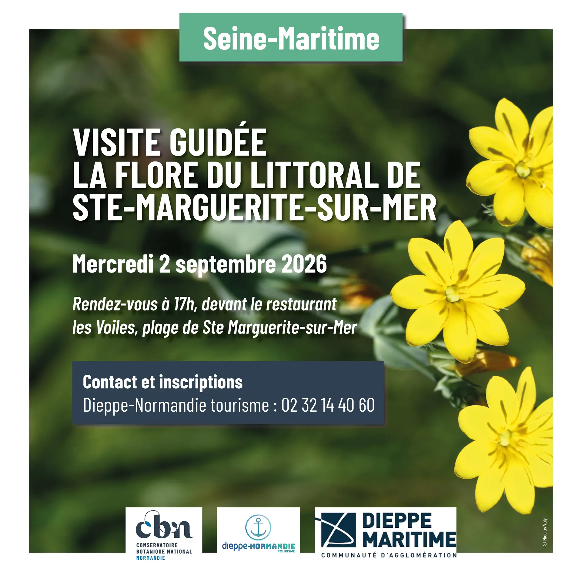 [balade naturaliste] la flore du littoral de Sainte-Marguerite-sur-Mer