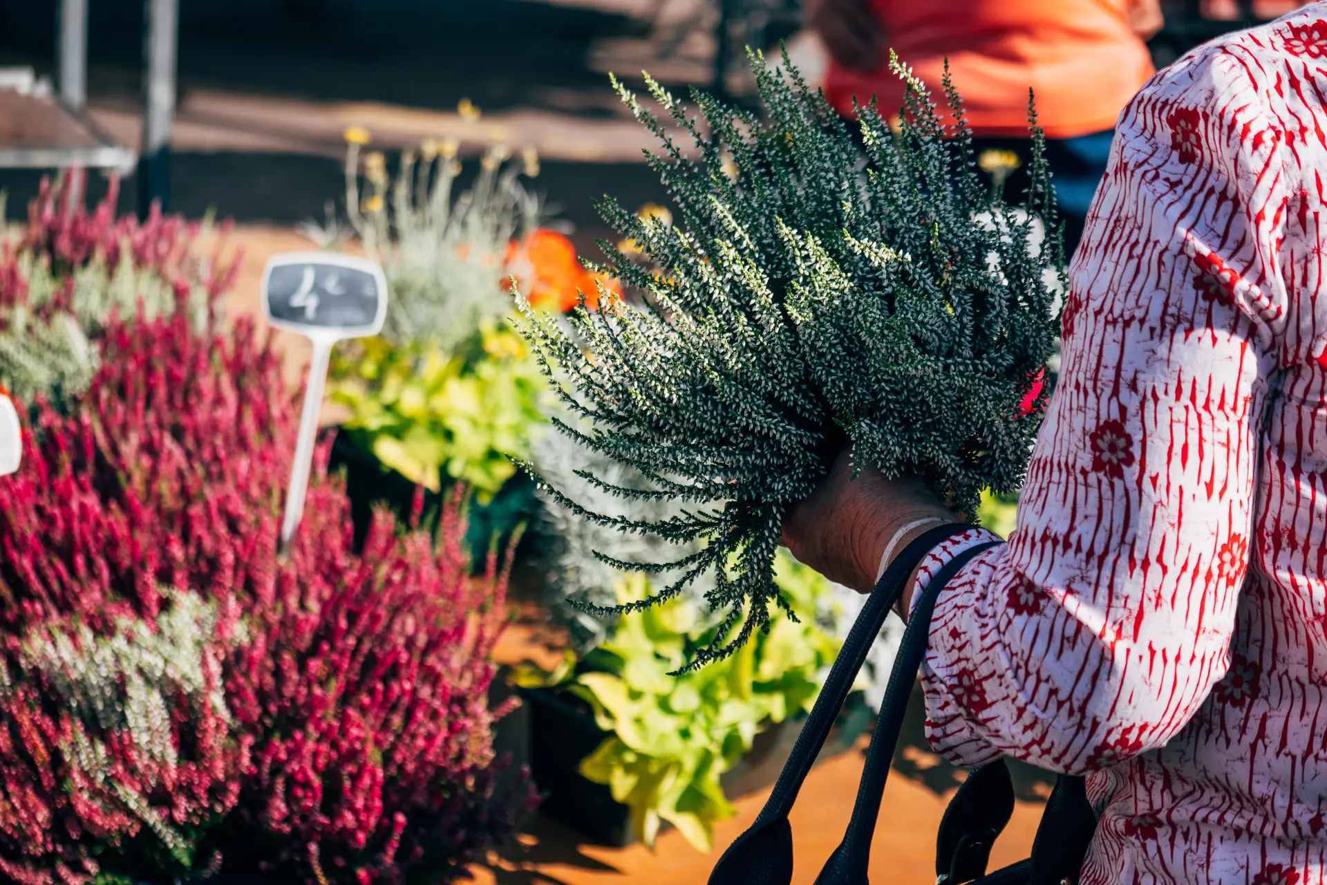 fleurs de saison