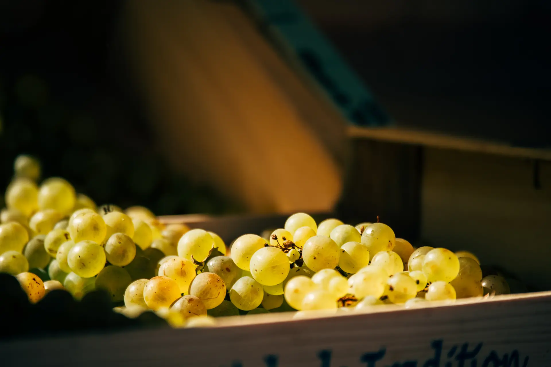 Fruits de saison