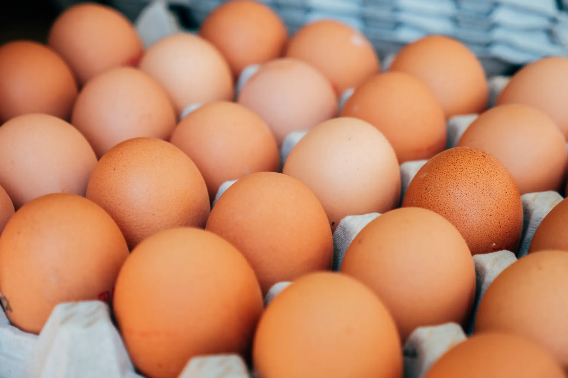 Oeufs sur le marché