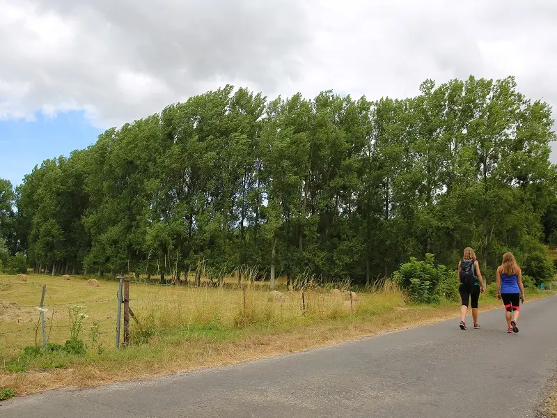 Terroir de Caux© SMA 2018-A.BEAUVOIS (29)