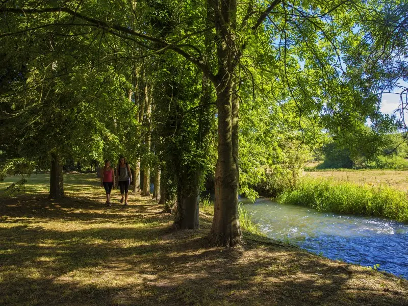 Terroir de Caux© SMA 2018-A.BEAUVOIS (91) (1)