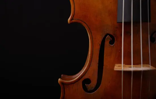Violon