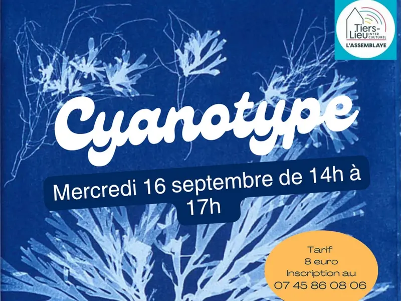 Yvetot_AtelierCyanotype2©LAssemblaye-2026