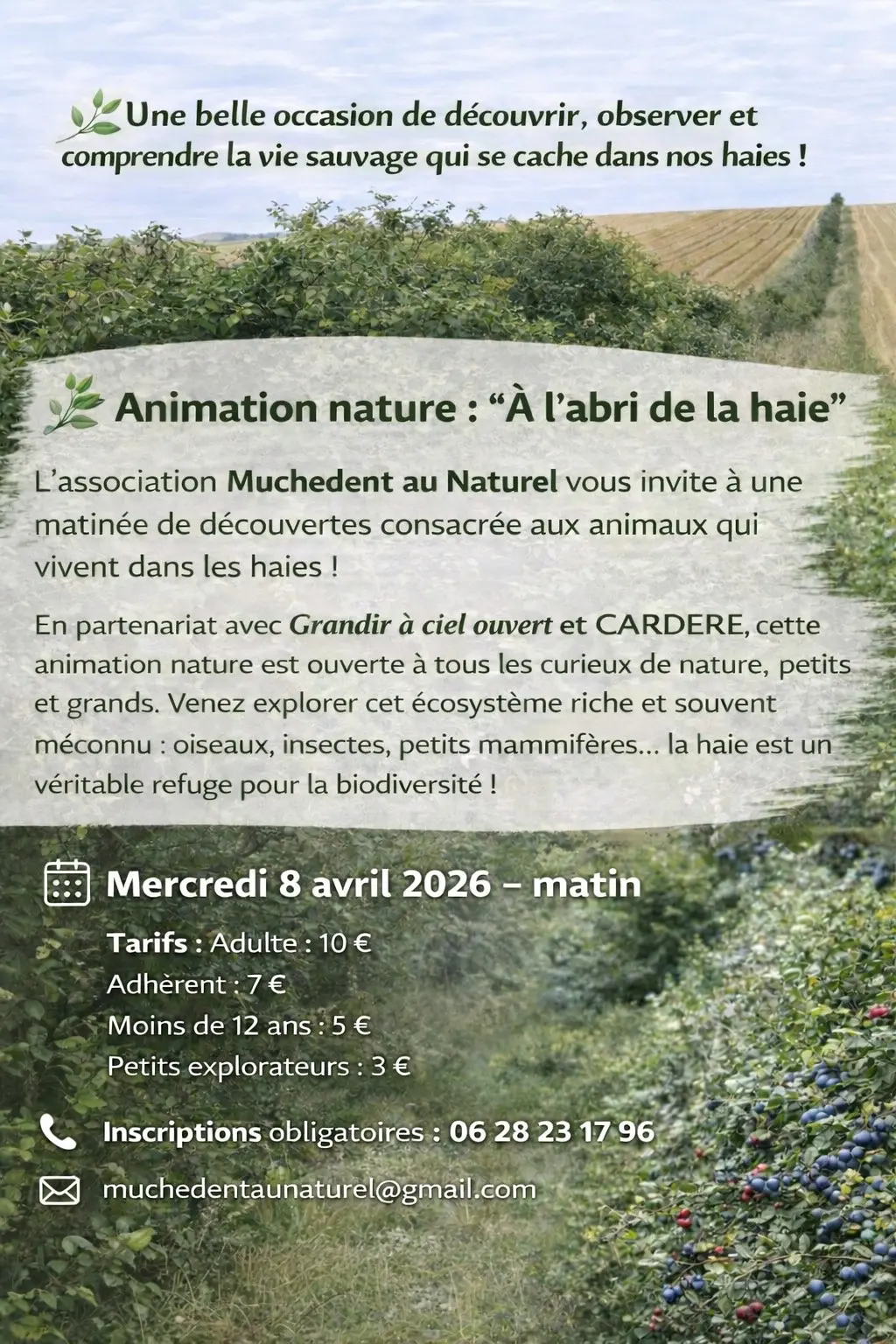 a l'abri de la haie