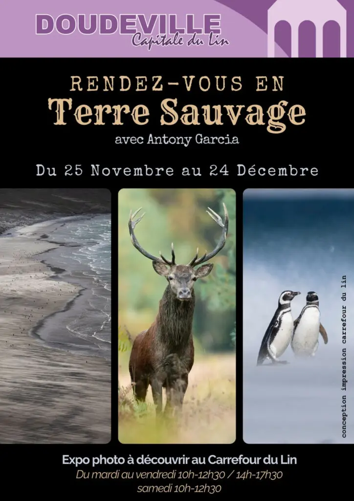Affiche RDV en Terre Sauvage - 1
