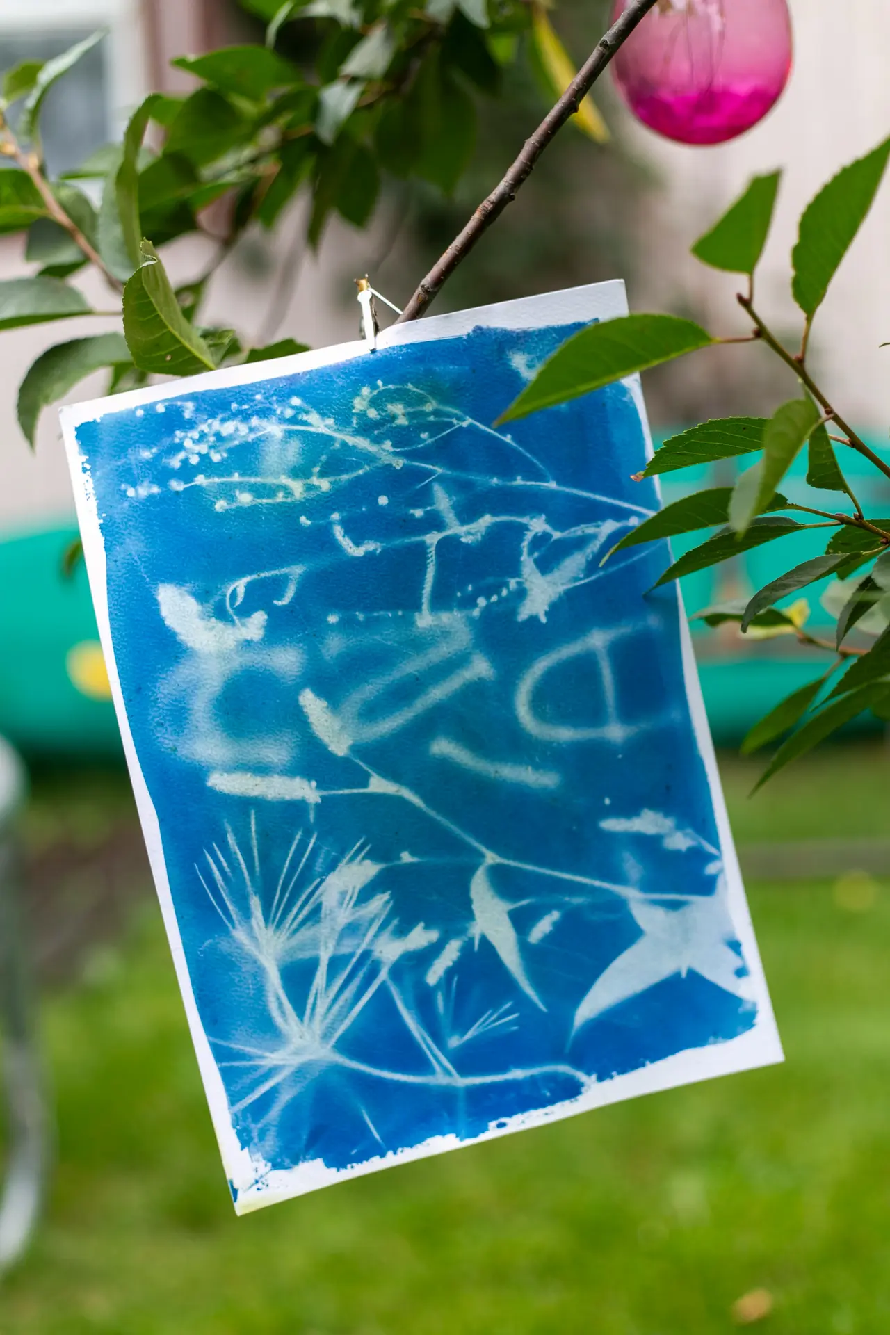 anna-k-MSrfkLpgEAY-unsplash