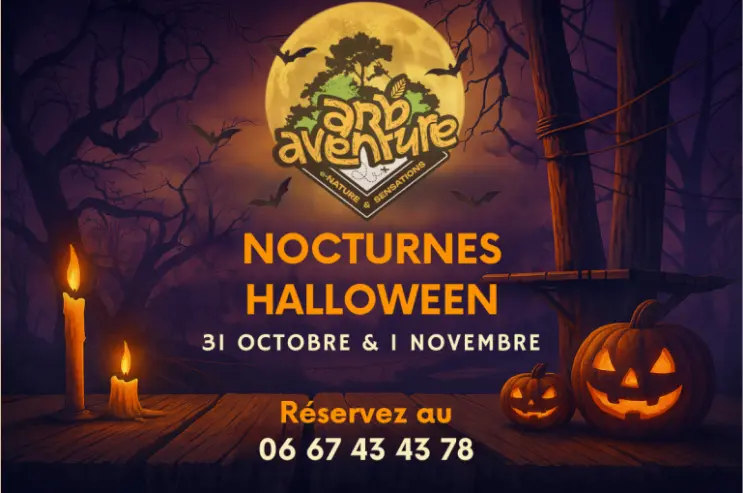 Nocturne accrobranche