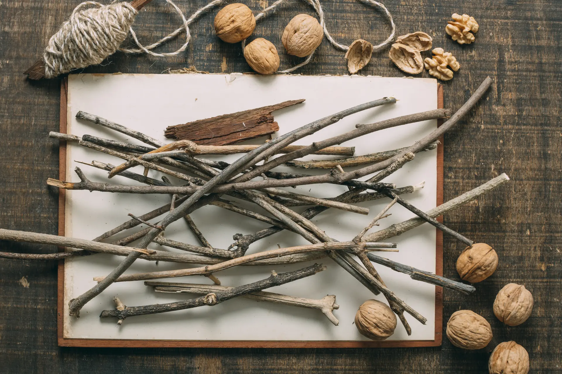 Atelier baguettes de sorcier(e)
