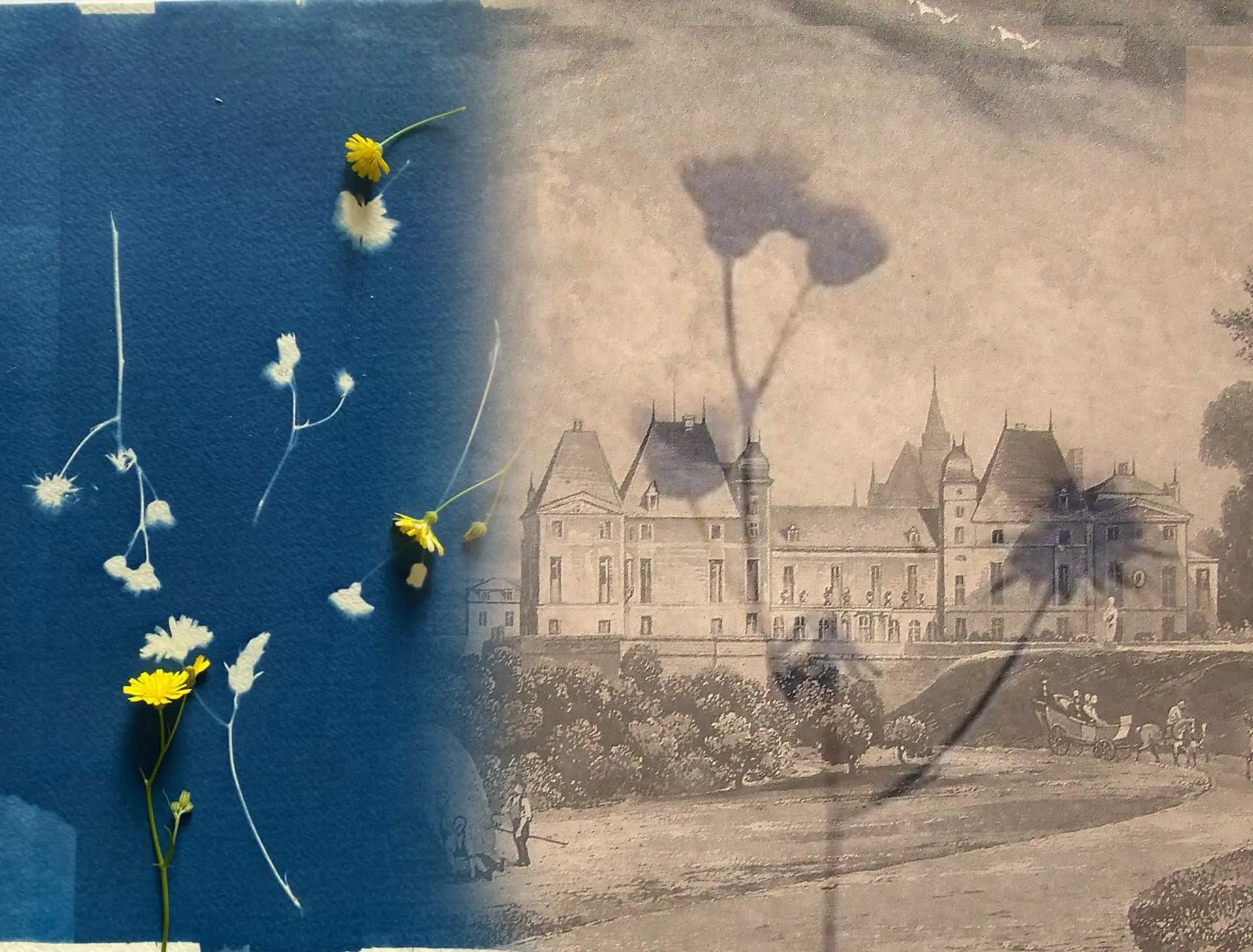 atelier_été_2026 copie