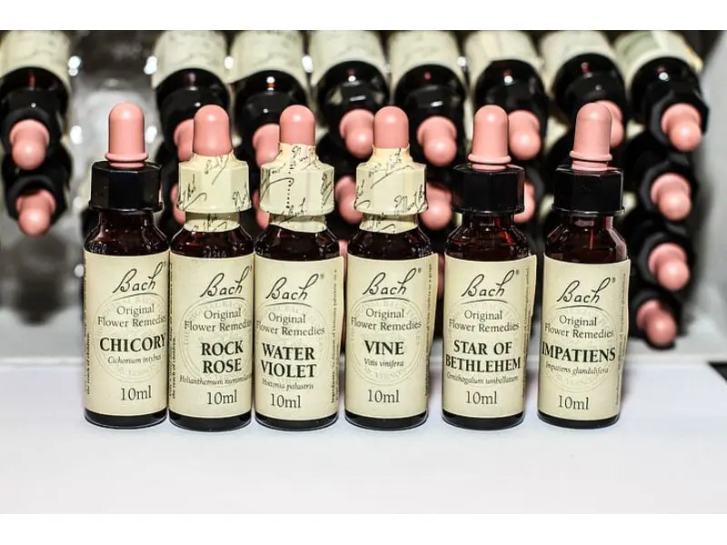 bach-flowers-bach-remedies-alternative-medicine-naturopathy-preview (1)
