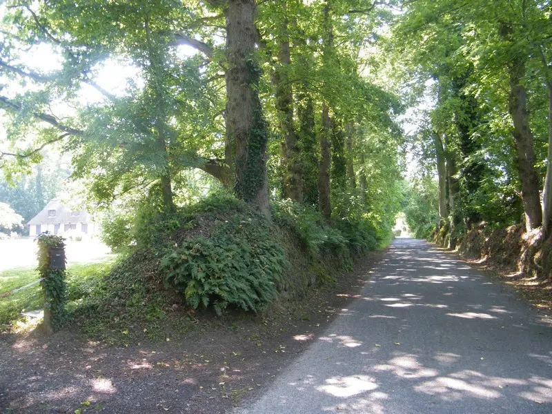boucle plaine du moulin - mesnil durdent©ccca-2023