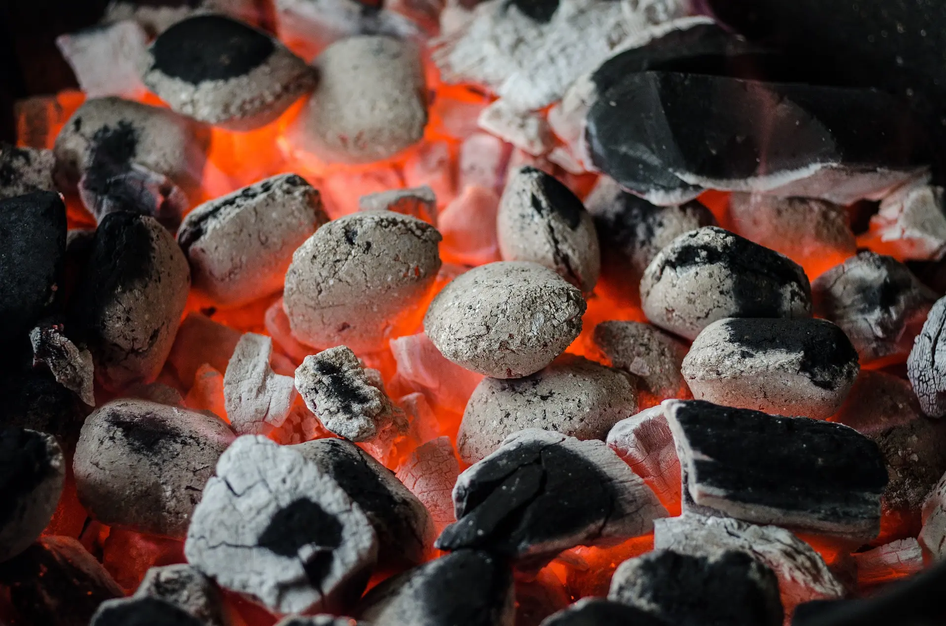 Repas_Barbecue_braise