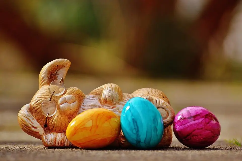 Chasse aux oeufs