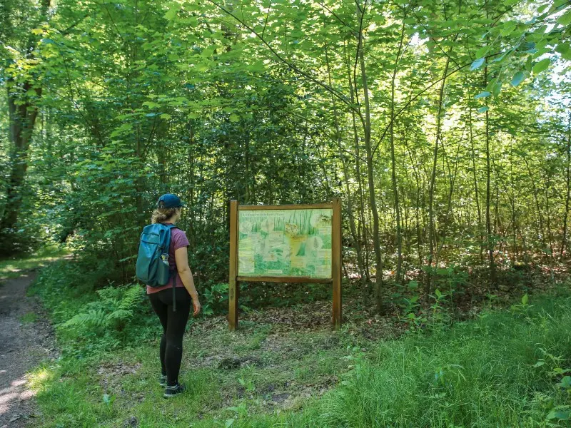 chemin_ecoliers-sma-SLECOQ 800x600 (5)
