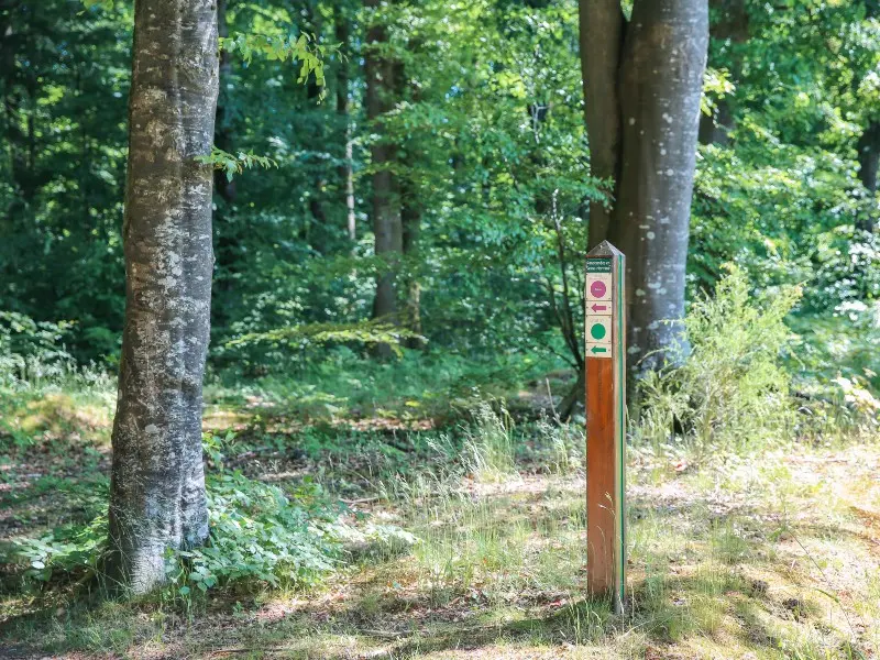 chemin_ecoliers-sma-SLECOQ 800x600 (3)