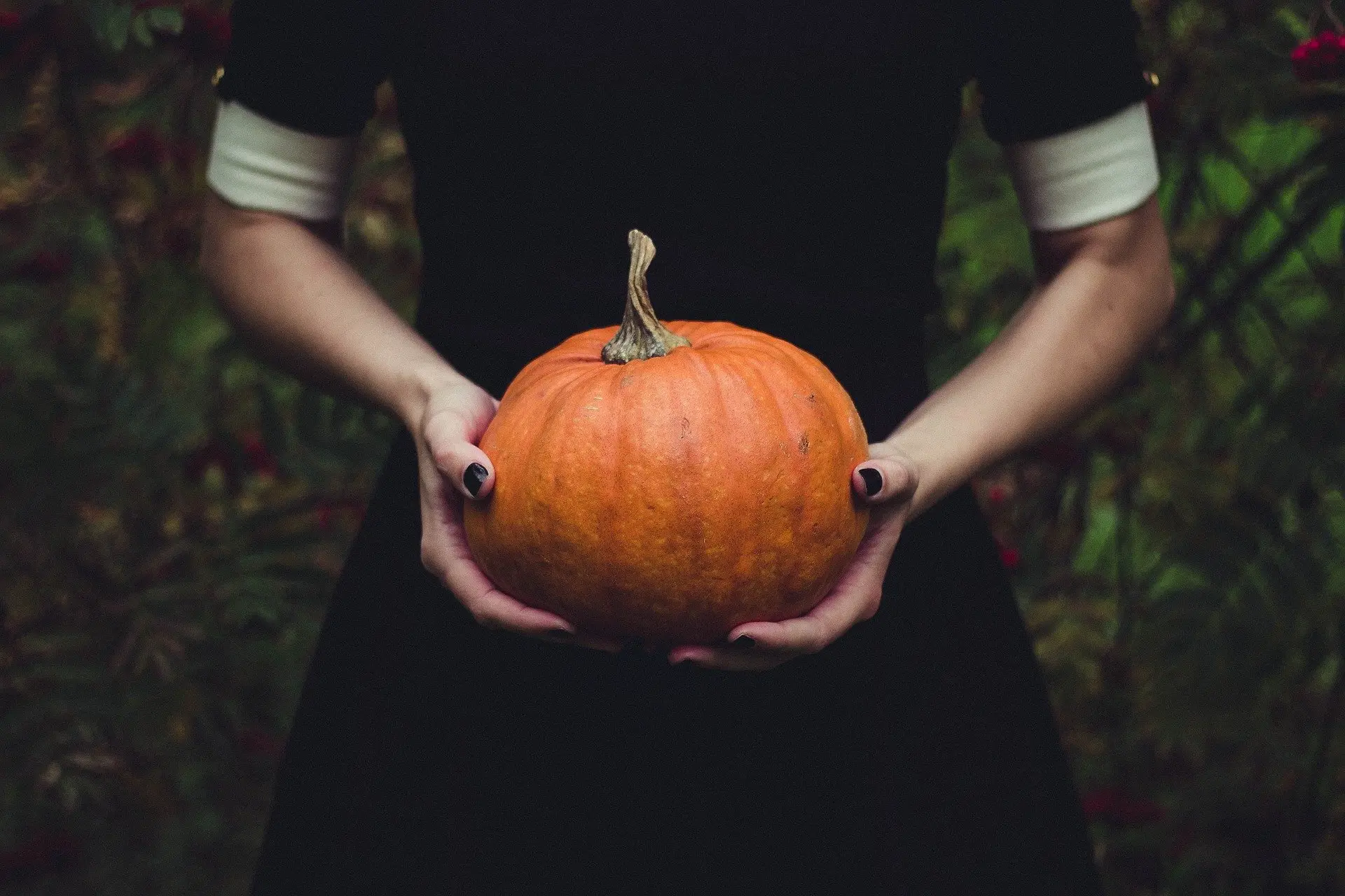 citrouille halloween