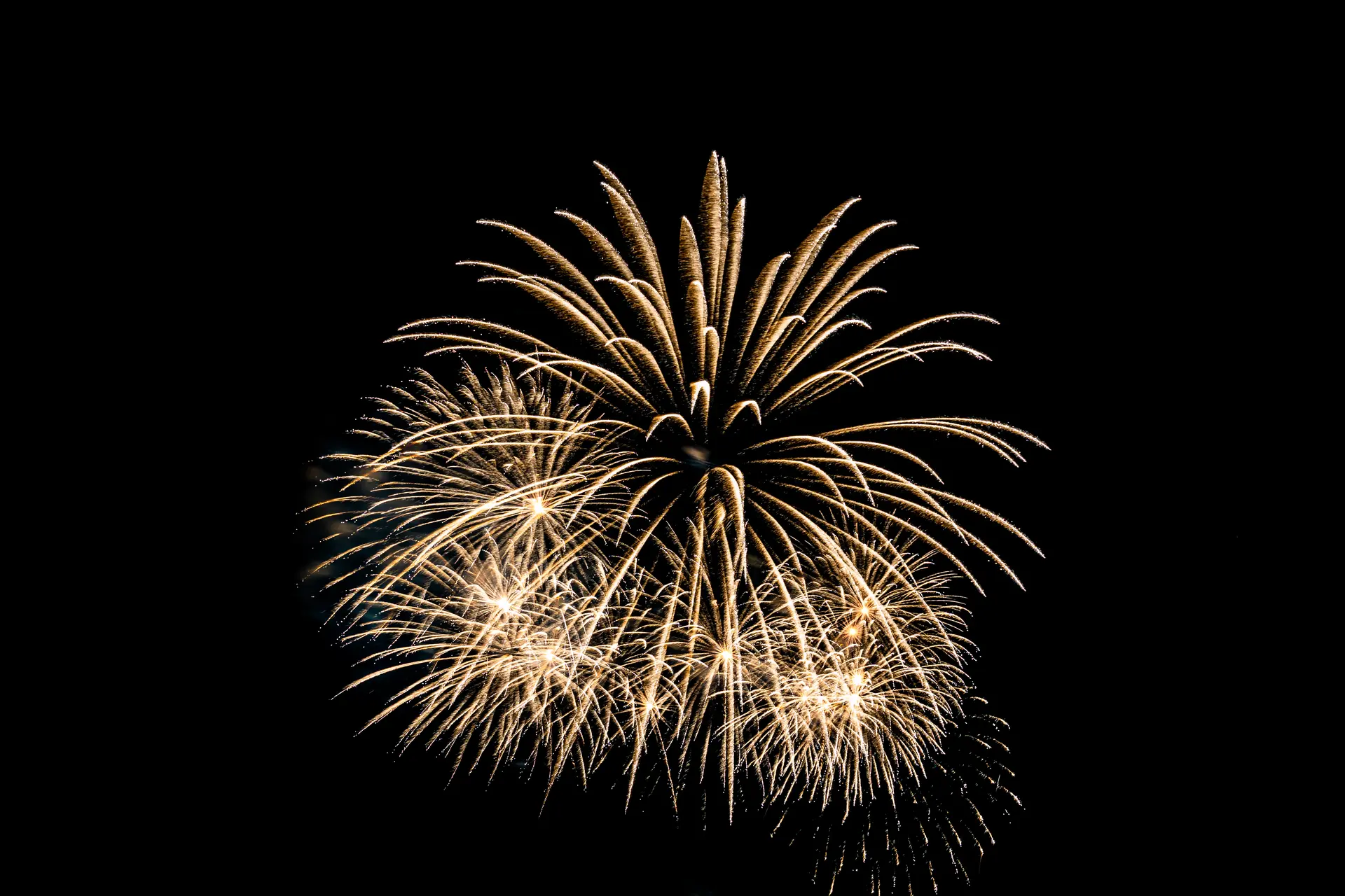 Abstract colorful firework display for celebration anniversary