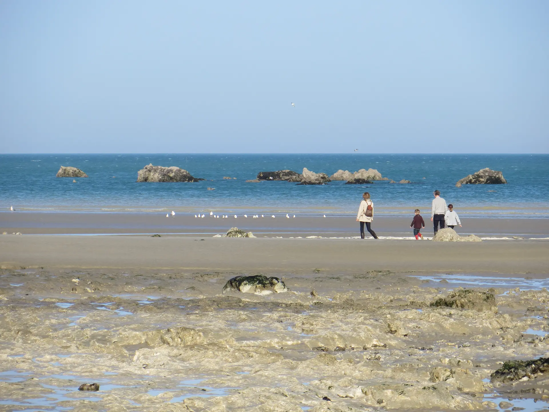 Côte d'albâtre