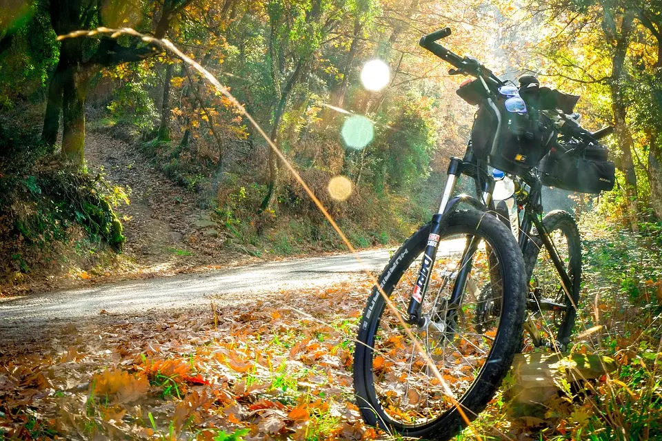 VTT