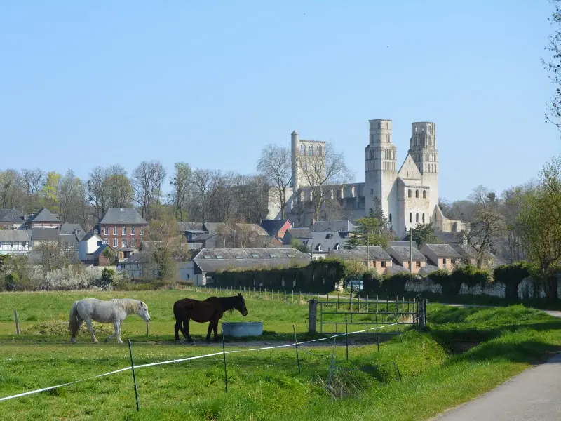de_yainville_à_jumièges-sma-mathilde_harel-800x600 (2)