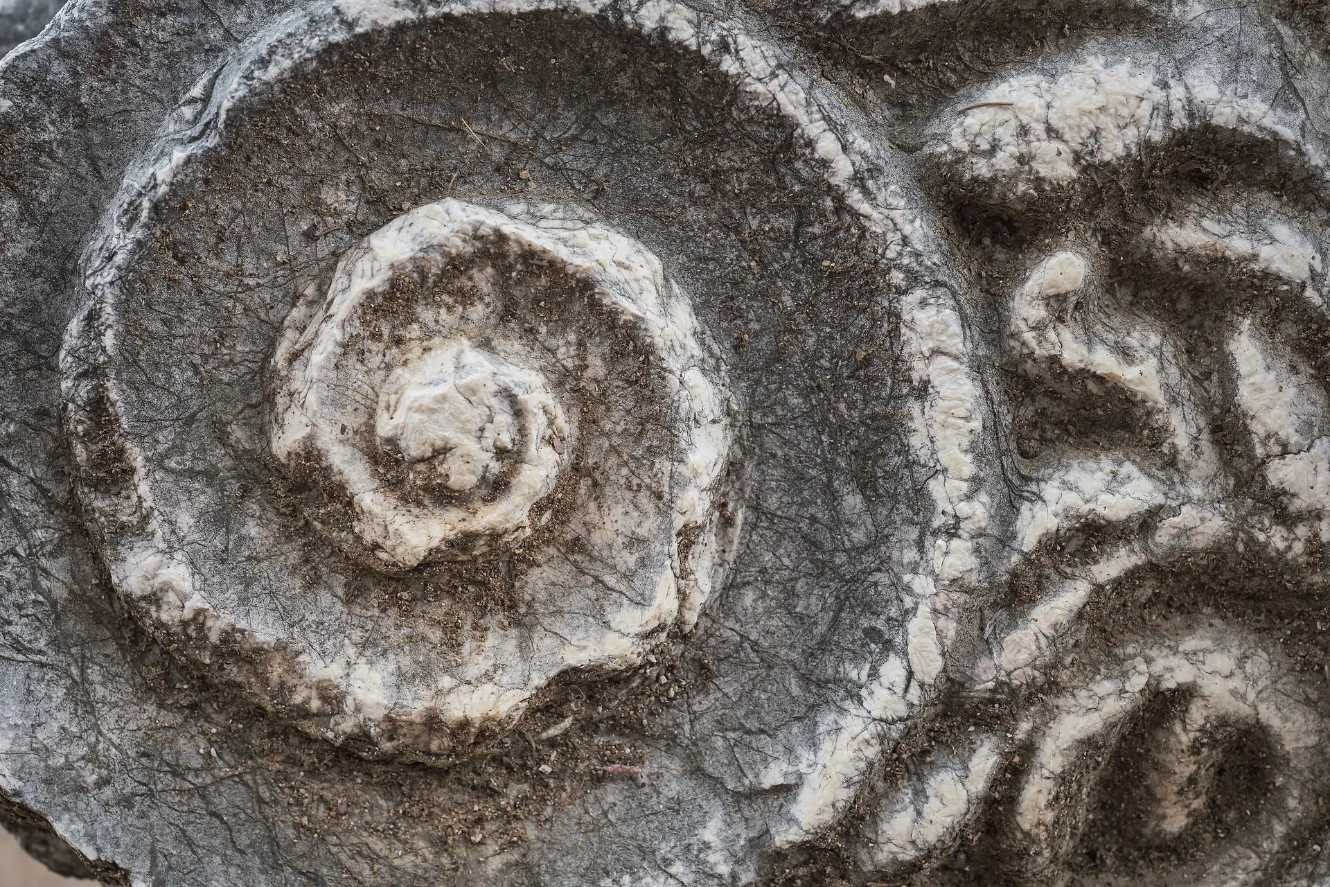 details of the capital of the columns on the ruins of a Greek temple with a beautiful marble carving, the history and heritage of ancient civilizations in the Aegean region of Turkey, vacation travel