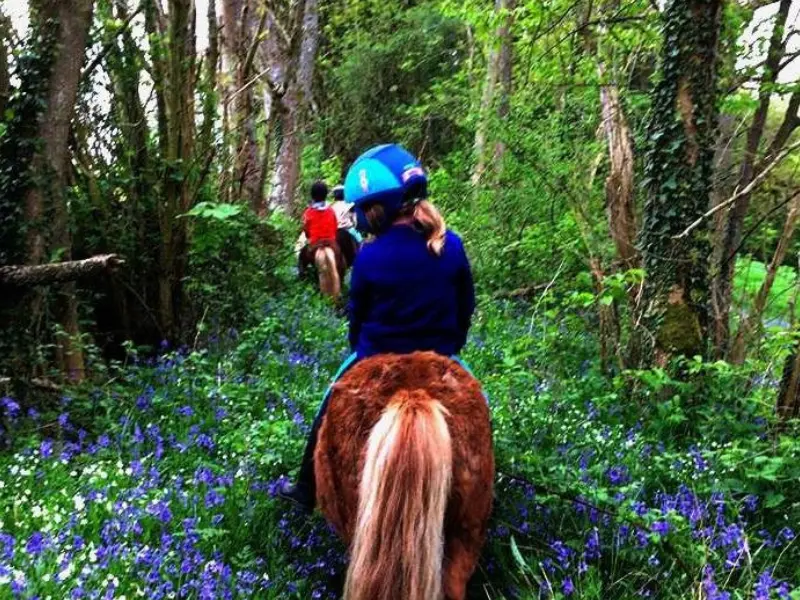 Ferme équestre Bois-Guilbert