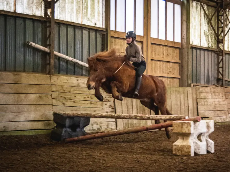 Poney-club de Bois-Guilbert