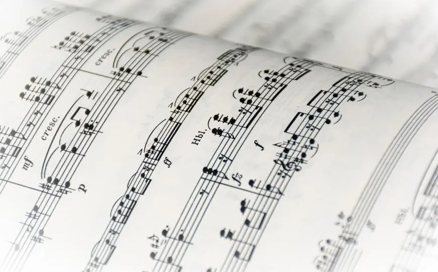 fete musique croco