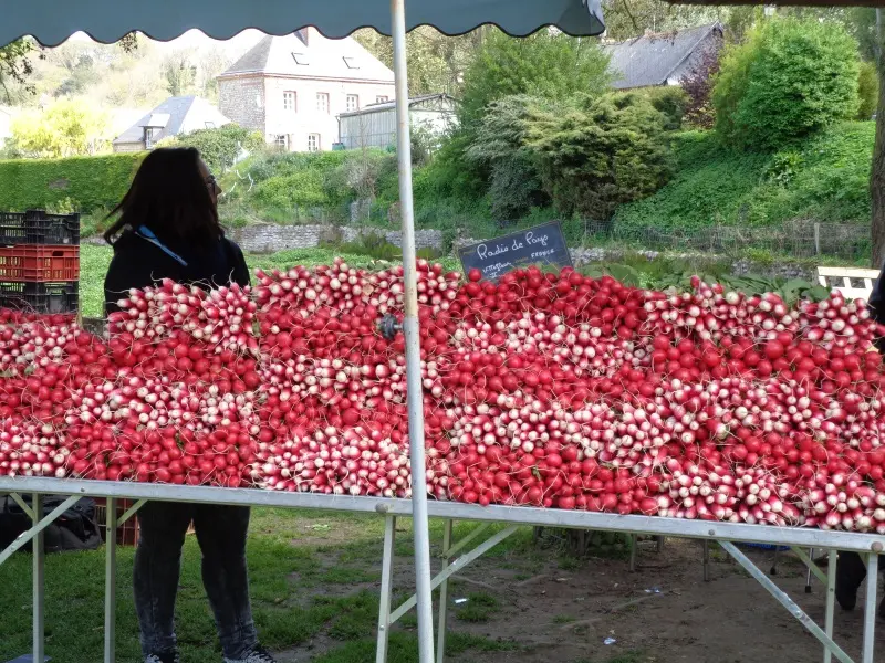 fete-du-cresson-veules--2-