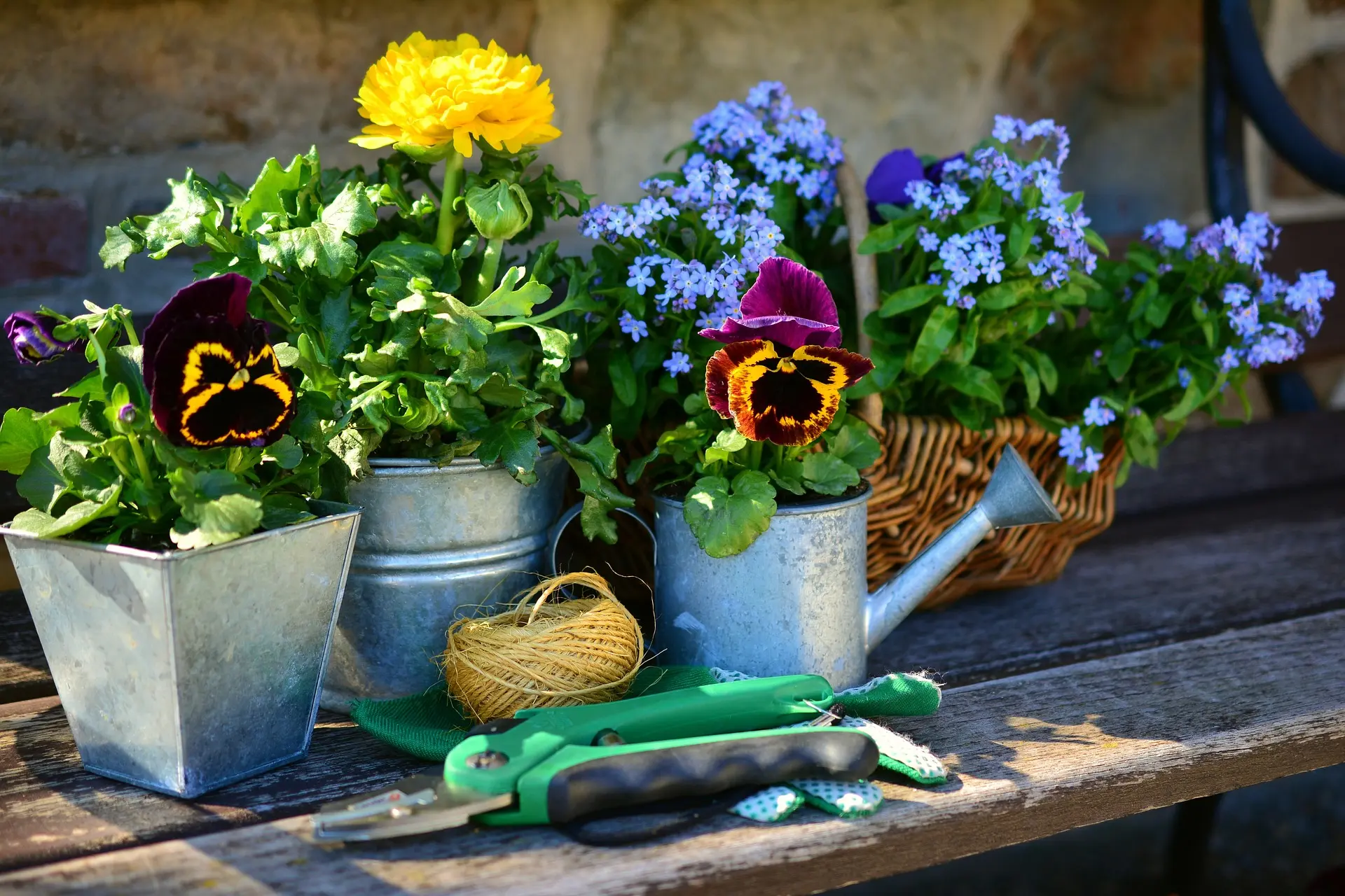 jardin