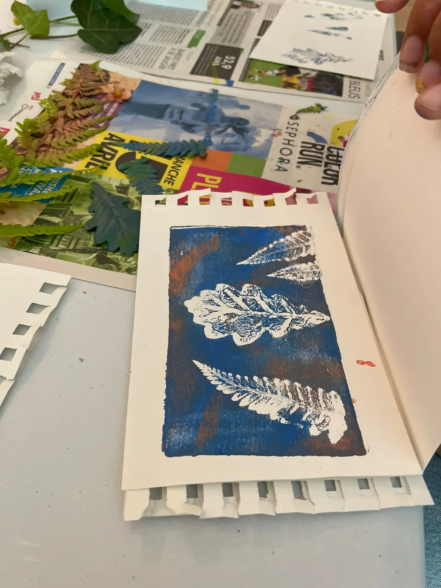 gelly_plate