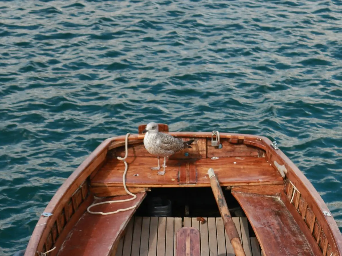 hendrik-kuterman-tWHRklcWfc4-unsplash (1)