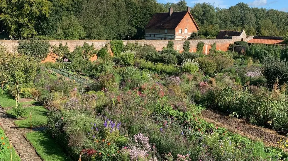 Jardin potager