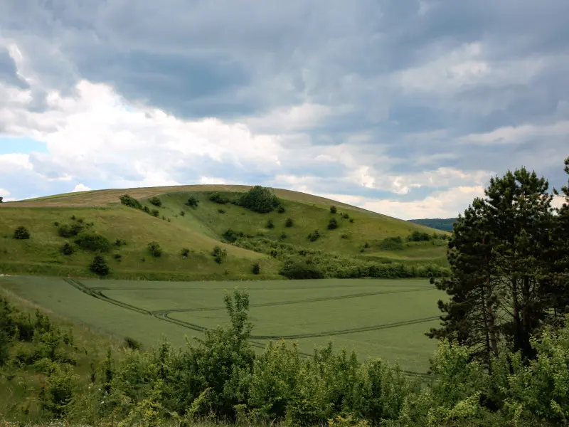 les_monts-sma-SLECOQ (8) 800X600
